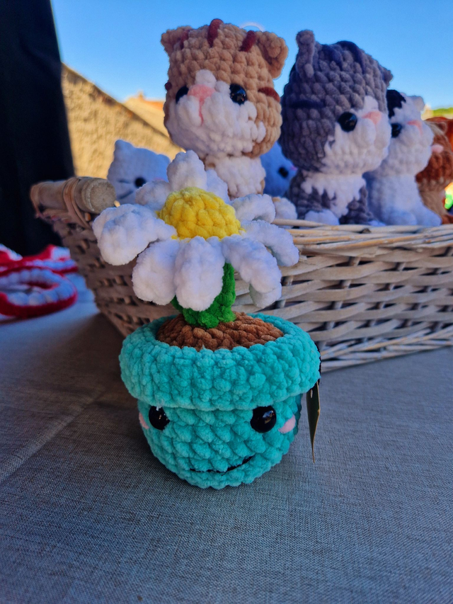 Pot de Fleurs Turquoise