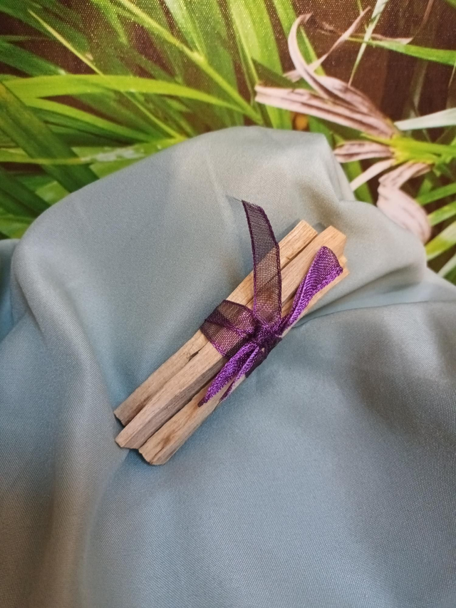 Palo Santo – Bois sacré d’Amérique du Sud