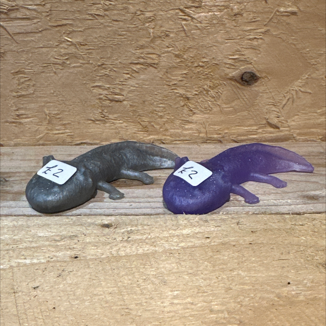 Resin Lizard