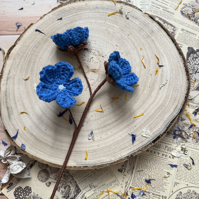 Androsace (personnalisable pour créer votre bouquet)