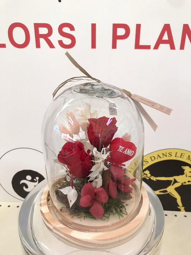 CUPULA CRISTAL 2 ROSA ROJA D-14 Altura 17cm