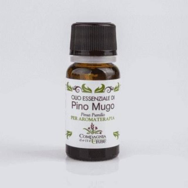 Pino Mugo - Olio Essenziale