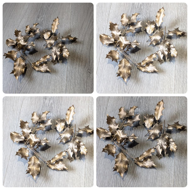 Dried Holly Spray Painted