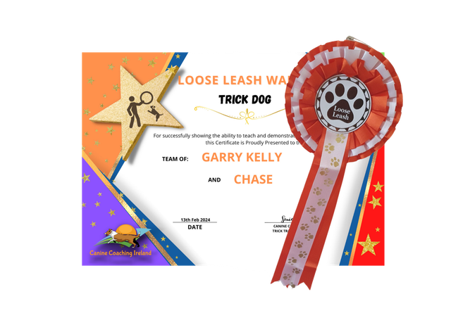 Loose Leash - Cert &amp; Rosette 