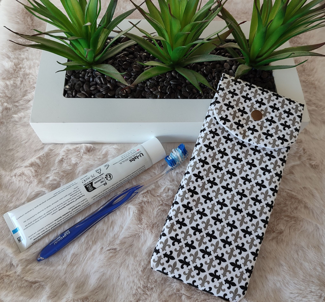 étui de voyage pour brosse à dents et dentifrice  