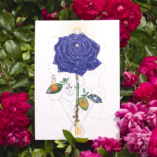 Rose Violette A5