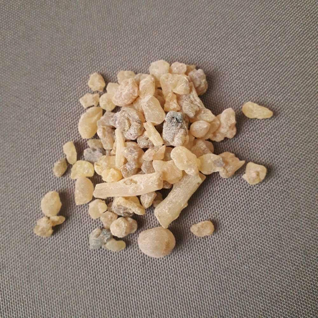Frankincense from India- Boswellia Serrata