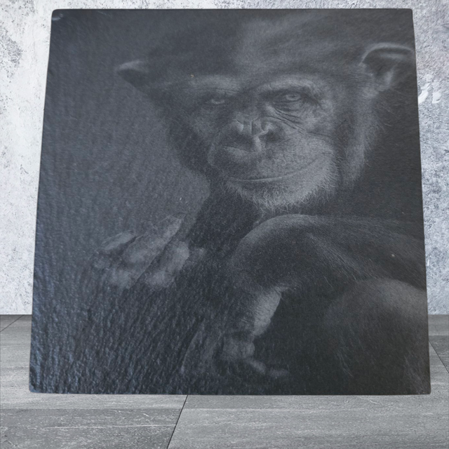 Slate Coaster - Chimpanzee