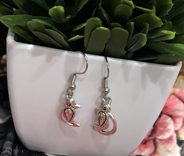 Silver Dangling Earrings- SDE140