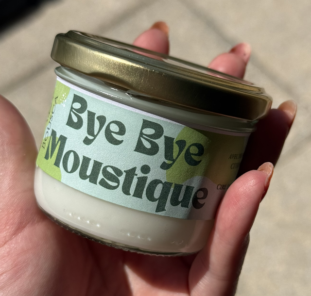 Bye bye moustique 