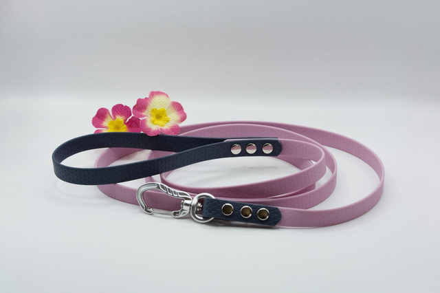 Laisse Hexa bicolore 2 m