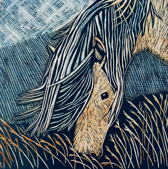 Dartmoor pony, limited edition linocut print