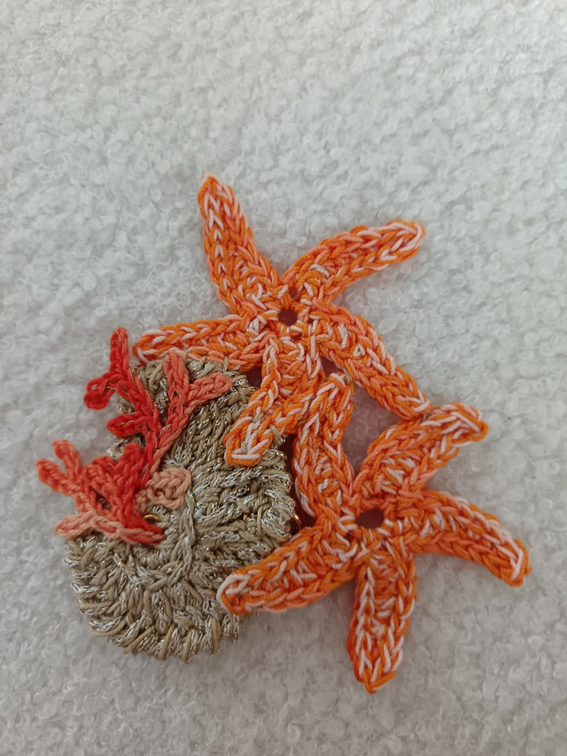 Broche étoile coquillage 