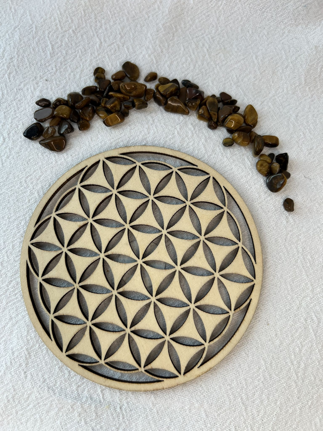 Plaque de rechargement 