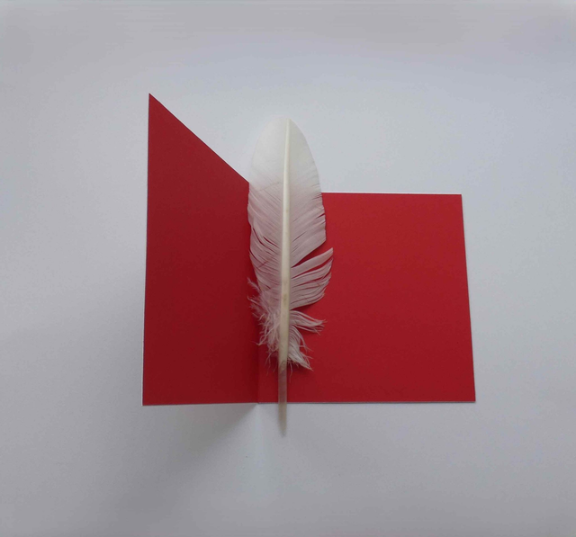 Le rouge-gorge de Noël