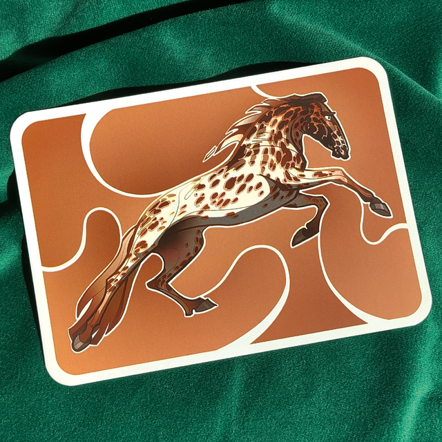 A6 - Le libre Appaloosa