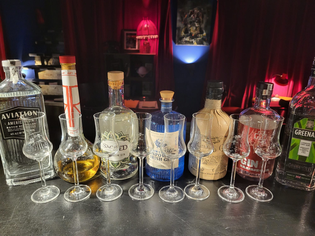 Gin Tasting Experience