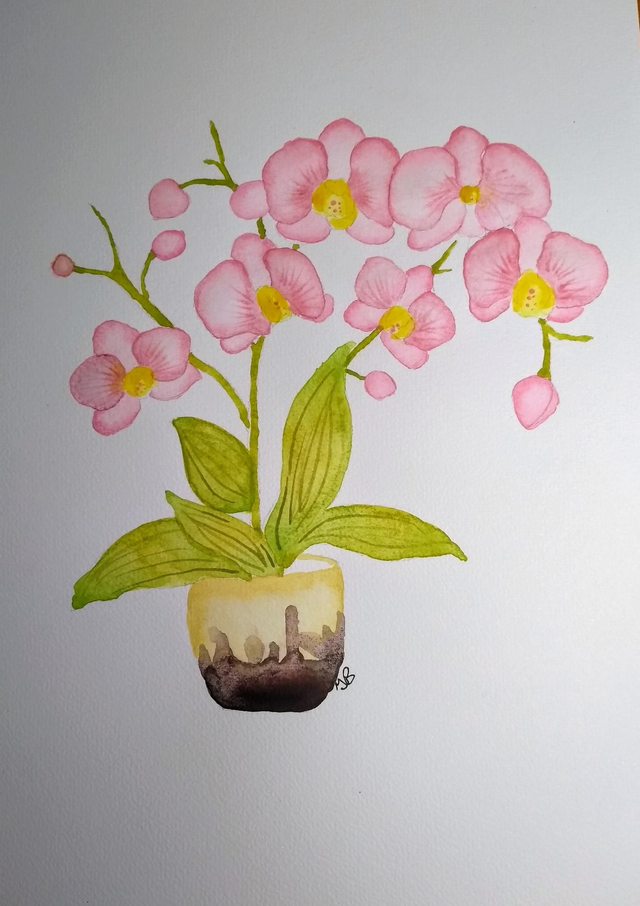Aquarelle originale orchidée 