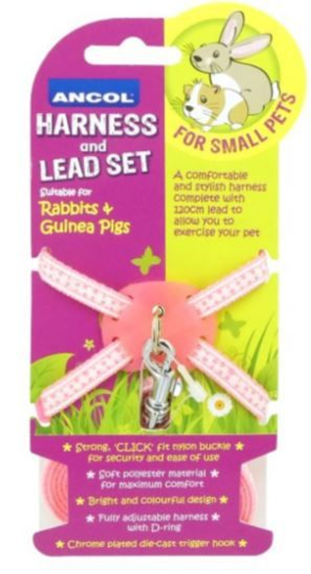 Rabbit Harness &amp; Lead Set 1 size