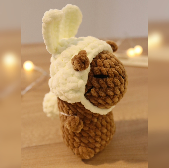 Capybara lapin blanc 