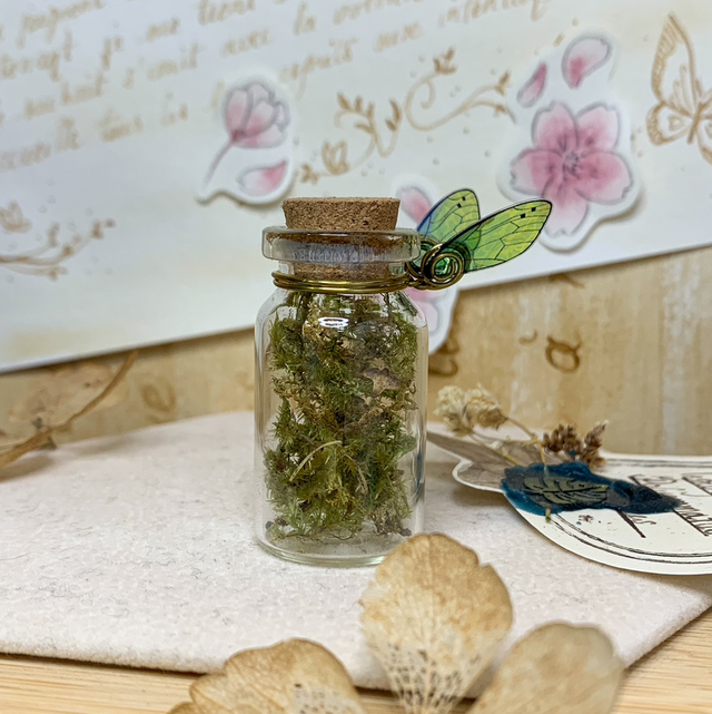 Fiole Féerique - Möss