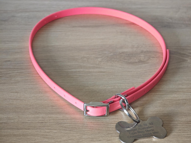 Collier biothane pour y glisser une médaille d&#039;identification 🏅