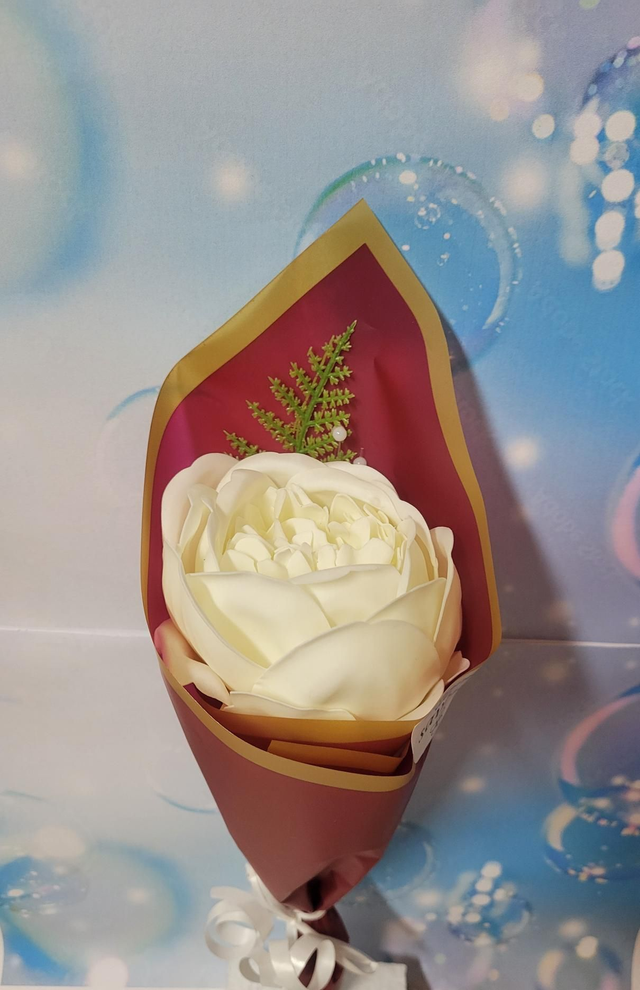 Pivoine de savon blanche 