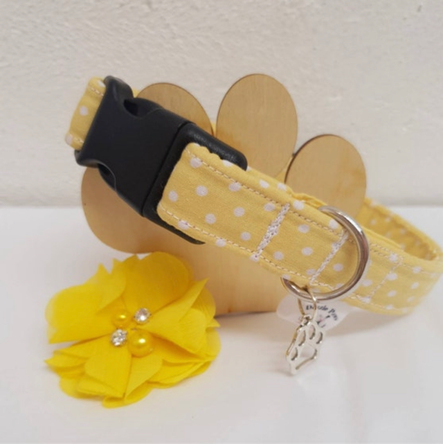 Lemon Polkadot Collar    