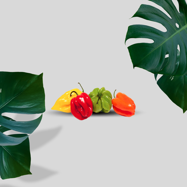 PIMENT ANTILLAIS MARTINIQUE - 2 / 3 / 4 KG