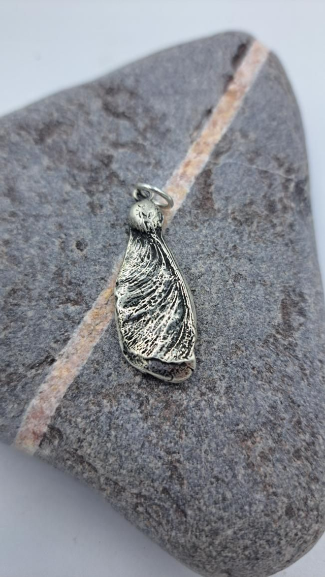 Silver Sycamore Seed