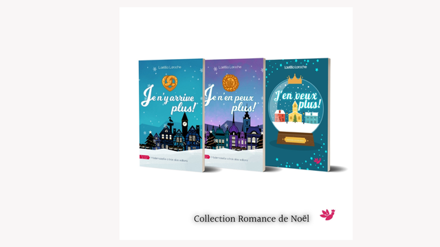 BOX DE NOEL - trilogie en broché