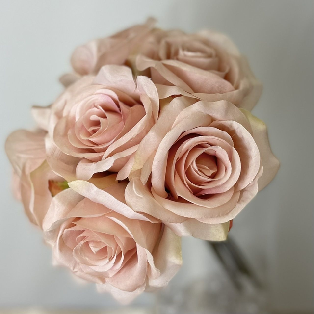 Bella Open Rose Bundle