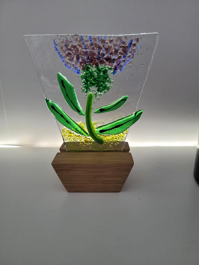 fused thistle - small