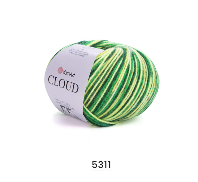 Cloud 5311