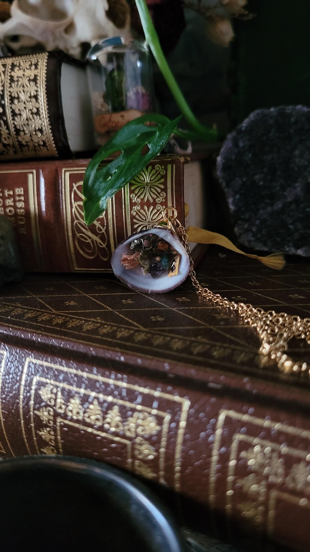 Coquillage : Réussite 