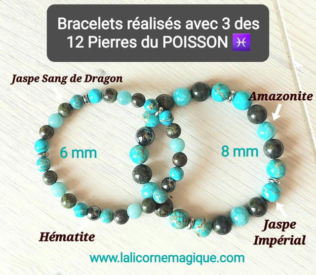 Signe/Ascendant POISSON