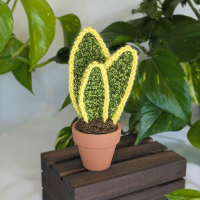 Crochet Snake Plant