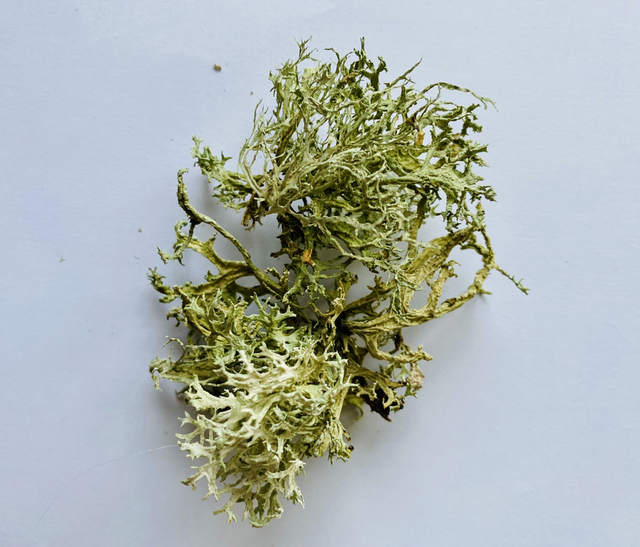 Bonnie Box - Scotland in a letterbox