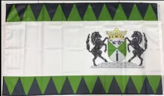 Grote vlag Emmen (150x90cm)