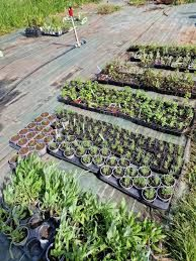 Atelier Pédagogique