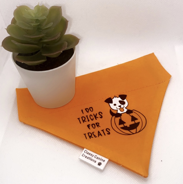 I do tricks for treats 