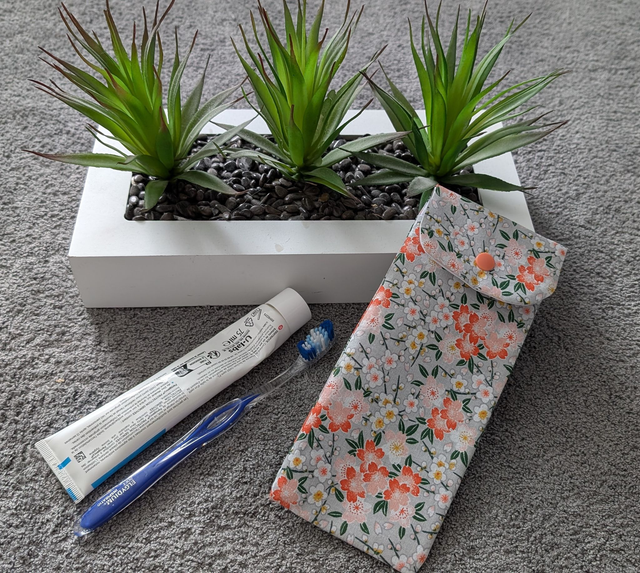 étui de voyage pour brosse à dents et dentifrice 