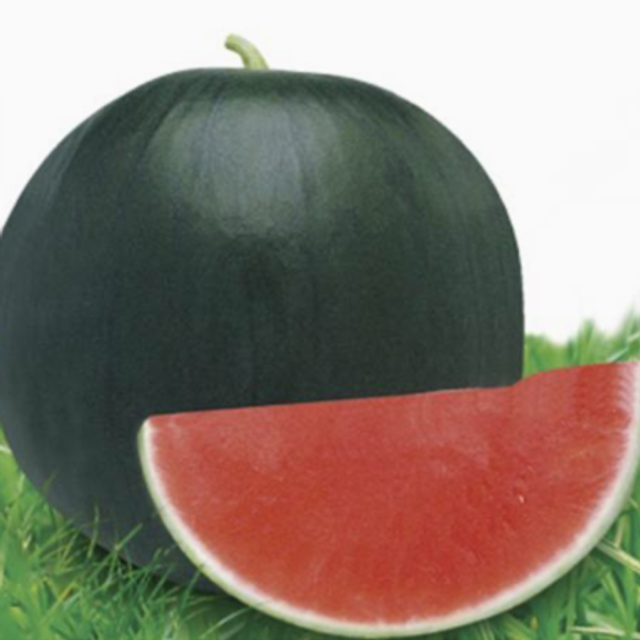Pastèque 1,7 kg (1/4)