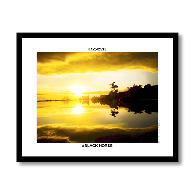 0125/2512 #BLACK HORSE 40X50
