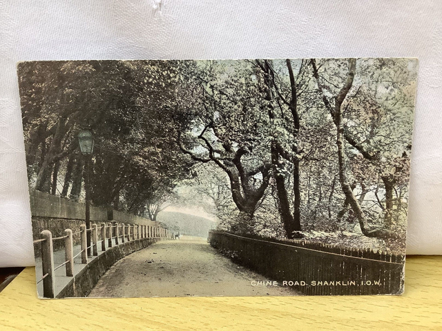 Chine Road, Shanklin, Isle of Wight. Posted 1905 The National Series Antique postcard. Our Ref No. R605 £2.50