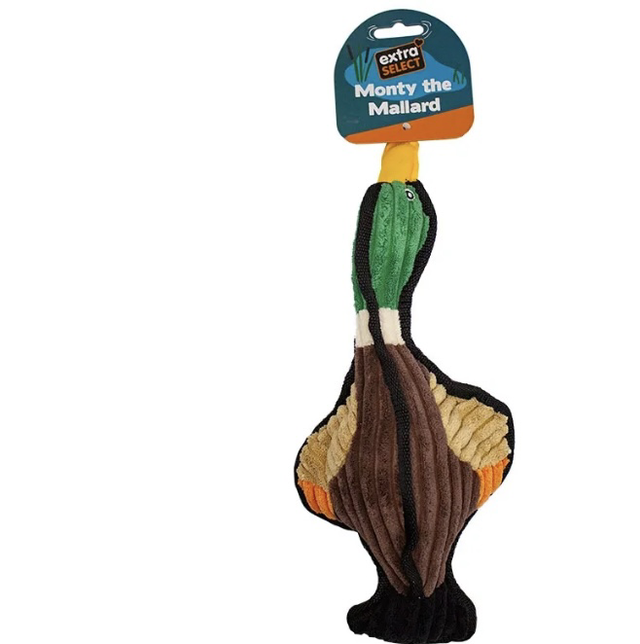 Flying Flock Mallard