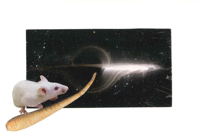Cosmic mouse