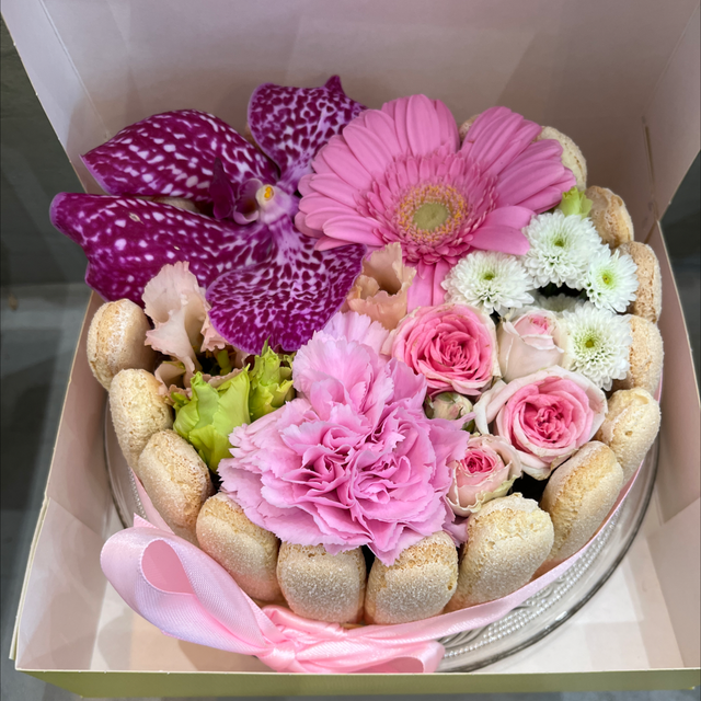 Charlotte Émilie ( visuel présenté : moyen modèle à 22€95) 