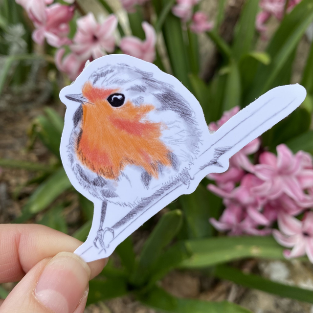 Sticker &quot;Rouge gorge&quot; II