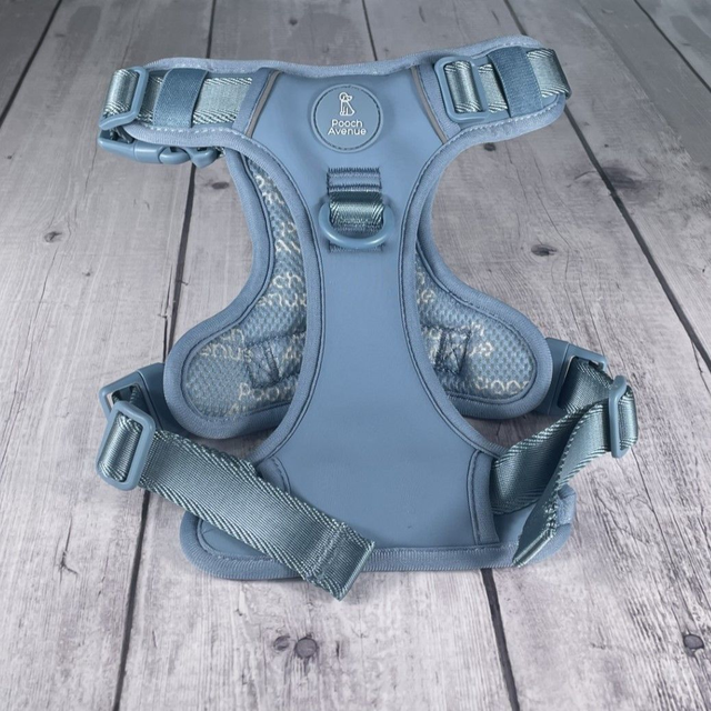 Blue Comfort+ Explorer Harness